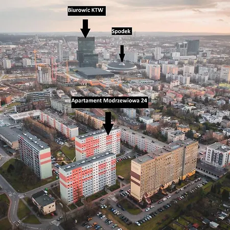 Spodek Modrzewiowa 24 *
