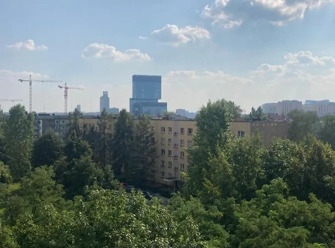 Spodek Modrzewiowa 24 * Katowice