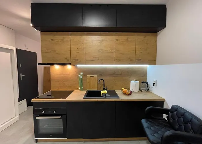 Spodek Modrzewiowa 24 Apartment *