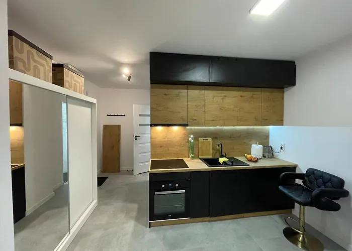 Apartment Spodek Modrzewiowa 24 *