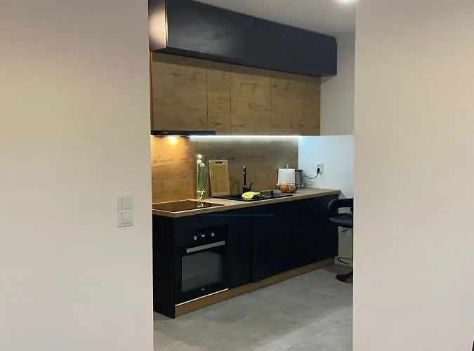 Apartment Spodek Modrzewiowa 24 *